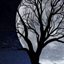 Tenebrous Origins logo
