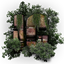 InteritusCraft (post-apocalyptic survival) logo