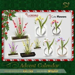 Advent Calendar 🎁 Day 20 - Flowers🌸🌷͙֒