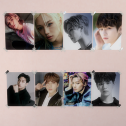 Stray kids portraits posters