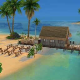 Wedding on the beach
