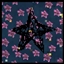Starborne logo
