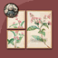 HQ Plant Color Sketch Painting 3 Piece Set #2 Sellable Extra F Samtuse963 logo
