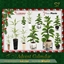 Advent Calendar 🎁 Day 22 - Large Plants  🌿 logo