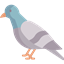 Pigeon Pack logo