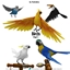 Birds (Part 1) logo