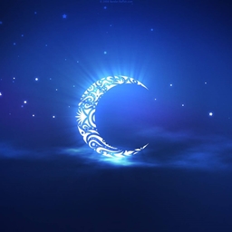 Night Timeπ project image