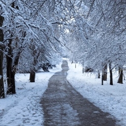 Gnawing Frost project image