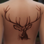Deer Tattoo logo