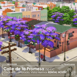 TapeiGuanas - Calle de la Promesa