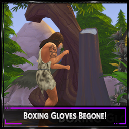 Boxing Gloves BEGONE!