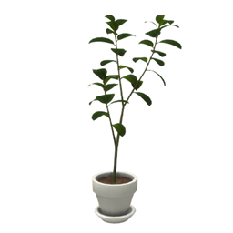 Comiko - Bathroom Boho Plant Ficus logo