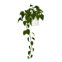 Comiko - Bathroom Boho Plant Falling