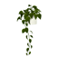Comiko - Bathroom Boho Plant Falling logo