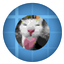 Create: Silly Edition™ logo