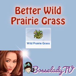 Better Wild Prairie Grass Lot Challenge