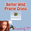 Better Wild Prairie Grass Lot Challenge