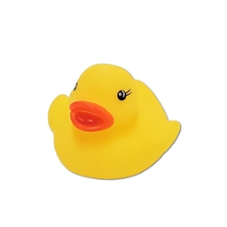 Casey's DuckTopia!