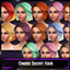 Ombre Short Hair logo