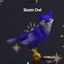Sixam Owl (Bird) logo