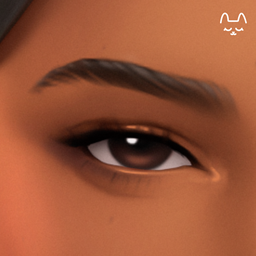 Eyebrow set NO9