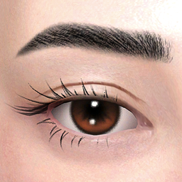 Brows 62 HQ logo