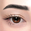Brows 62 HQ logo