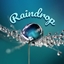 Raindrop logo