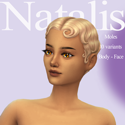 Moles N01ⁿᵃᵗᵃˡⁱˢ project image