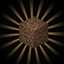 Nutritional Dirt logo