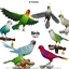 Birds (Part 3) logo