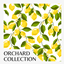 Orchard Wallpaper 10 logo