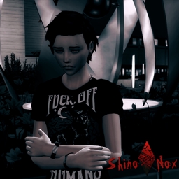 Moodlet Solver Potion Occult Sim Fix logo
