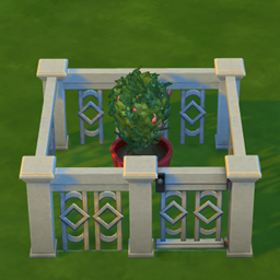 A Singular Perfect Dragon Fruit Plant