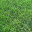 Sod Cuttin logo