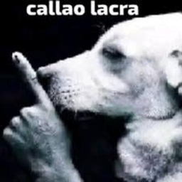 pachicraft