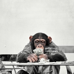 ChimpCraft 4.0