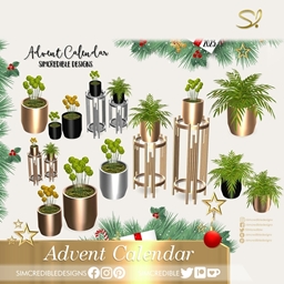 '23 Advent Calendar - Day 10 🎅🎁 - Posh Set