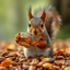 Caffeinated Squirrel logo