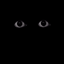 RUN BUT DO NOT SCREAM 2.0 logo