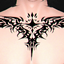 Croww Tattoo logo