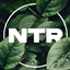 NeoTech Reborn logo