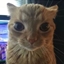 flufcraft logo
