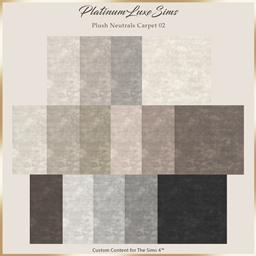 Plush Neutrals Carpet 02