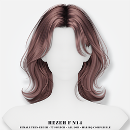 [Hezeh]FHair_No.14