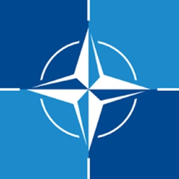 War Simulator: The Realistic Combat logo