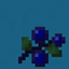 Blueberry pack
