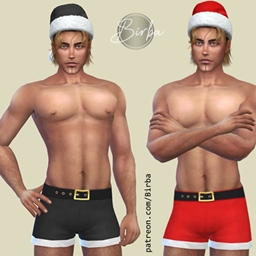 Santa's Underwear Boxer project image