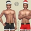 Santa's Underwear Boxer logo