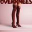Laced Overknees logo